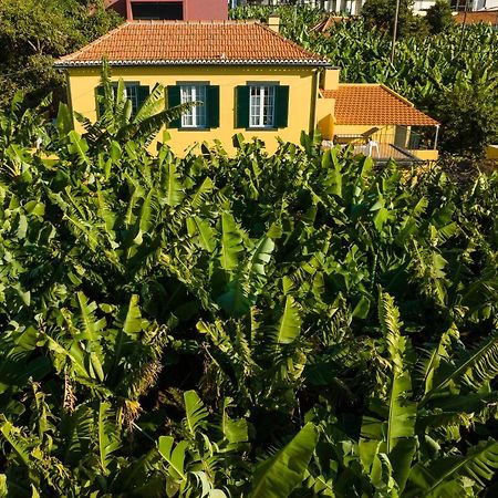 Casa D'Avo Celina Villa Funchal  Exteriör bild