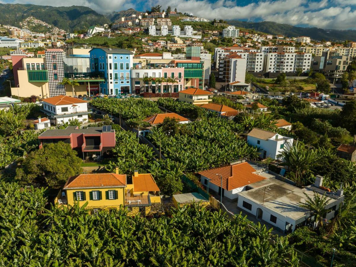 Casa D'Avo Celina Villa Funchal  Exteriör bild