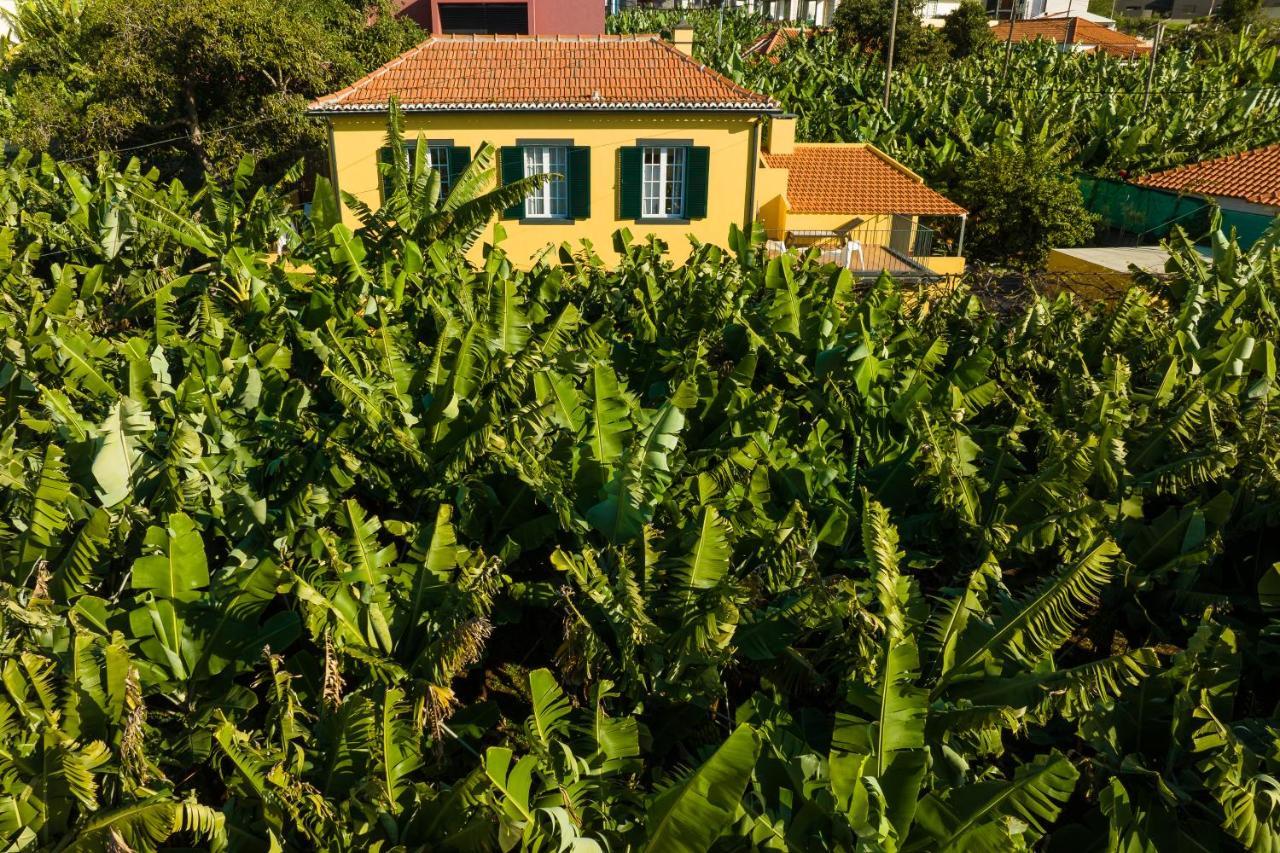 Casa D'Avo Celina Villa Funchal  Exteriör bild