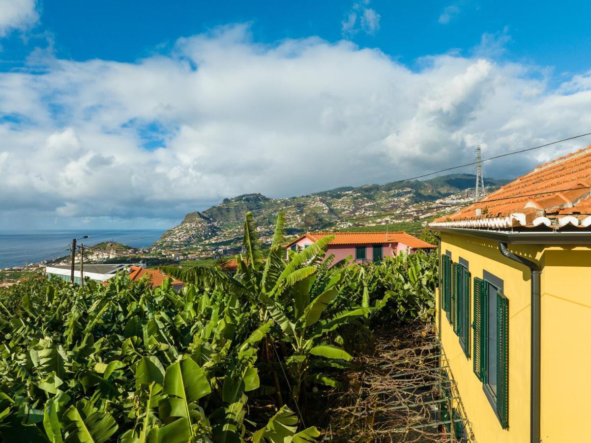 Casa D'Avo Celina Villa Funchal  Exteriör bild
