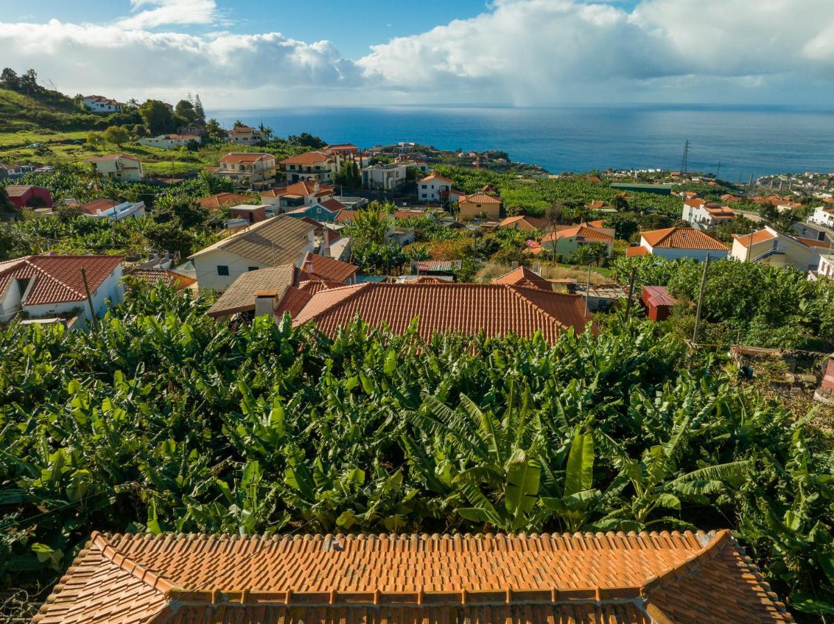 Casa D'Avo Celina Villa Funchal  Exteriör bild